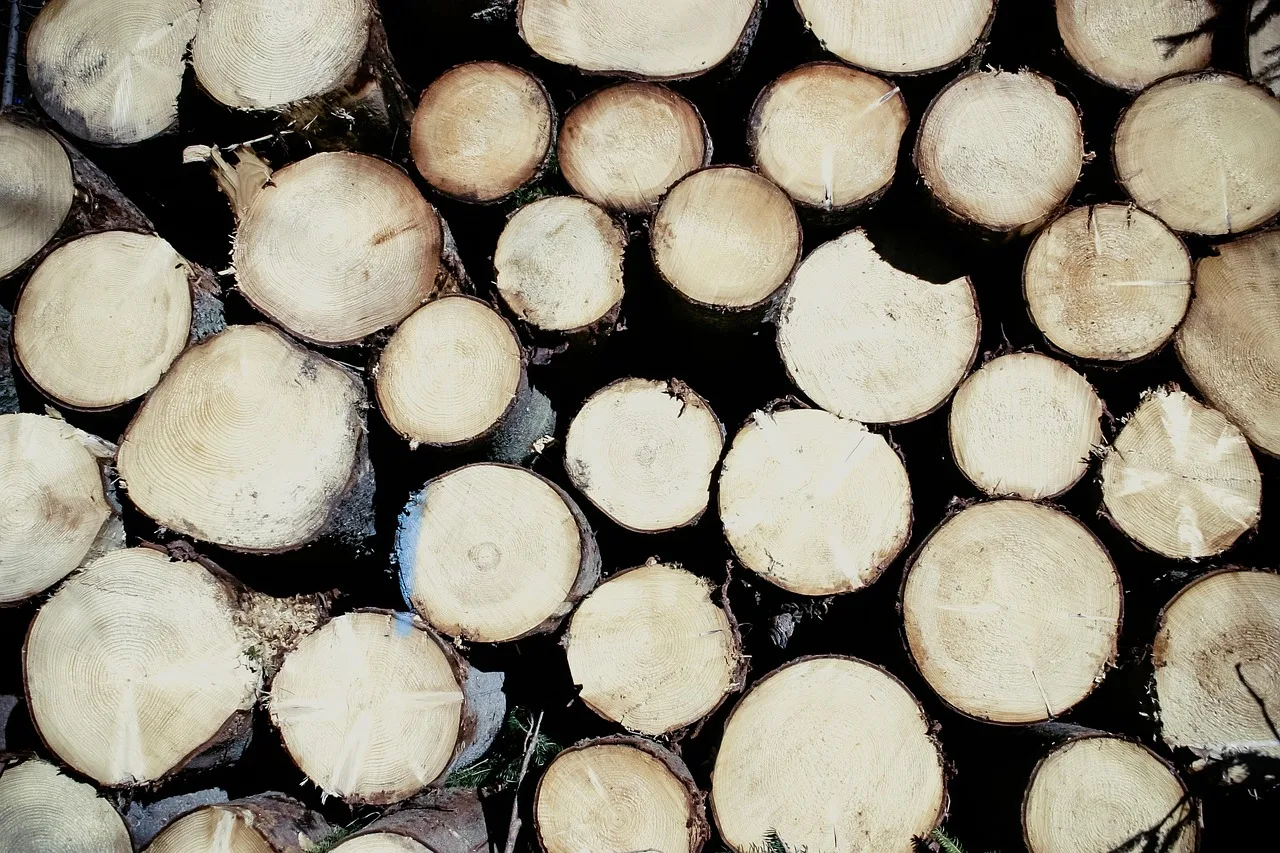 wood, round wood, cut down, tree, tree trunk, energy, raw material, sustainable, electricity, warmth, nature, heating. A sustainable material brand checklist: twenty things to verify first