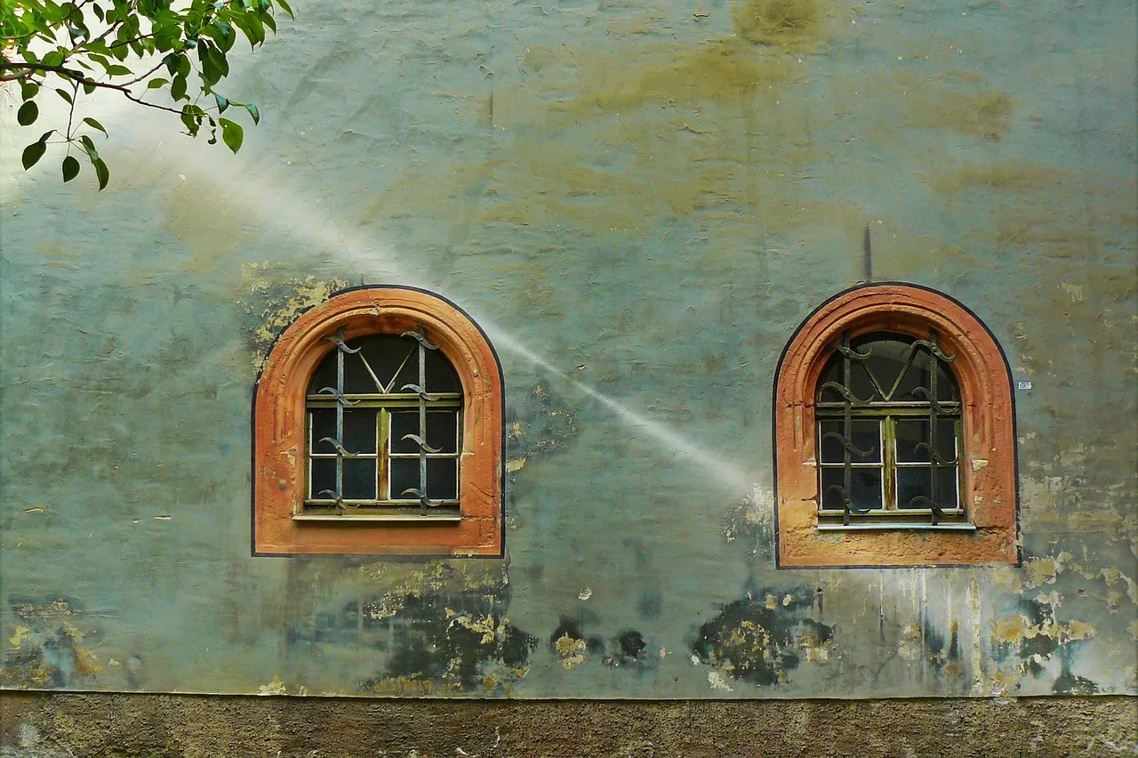 window, housewall, house facade, house front, facade, architecture, weathered, building, house, historic center, weimar, lattice windows, historical, old, grunge, to dye, color flaking, peel off, masonry, lichtspiel, incidence of light, beam of light, germany, window, window, window, window, window, house, house, house. Sustainable materials maintenance: a condition survey