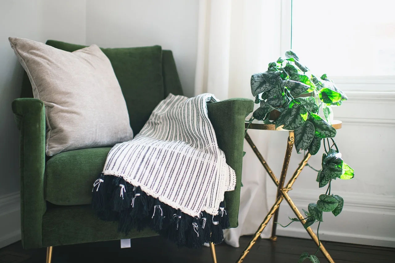 chair, home, room, plant, ivy, interior, table, blanket, pillow, curtain, nature, clean, drapes, silver satin ivy, still life. A practical guide to sustainable interiors that starts with the room