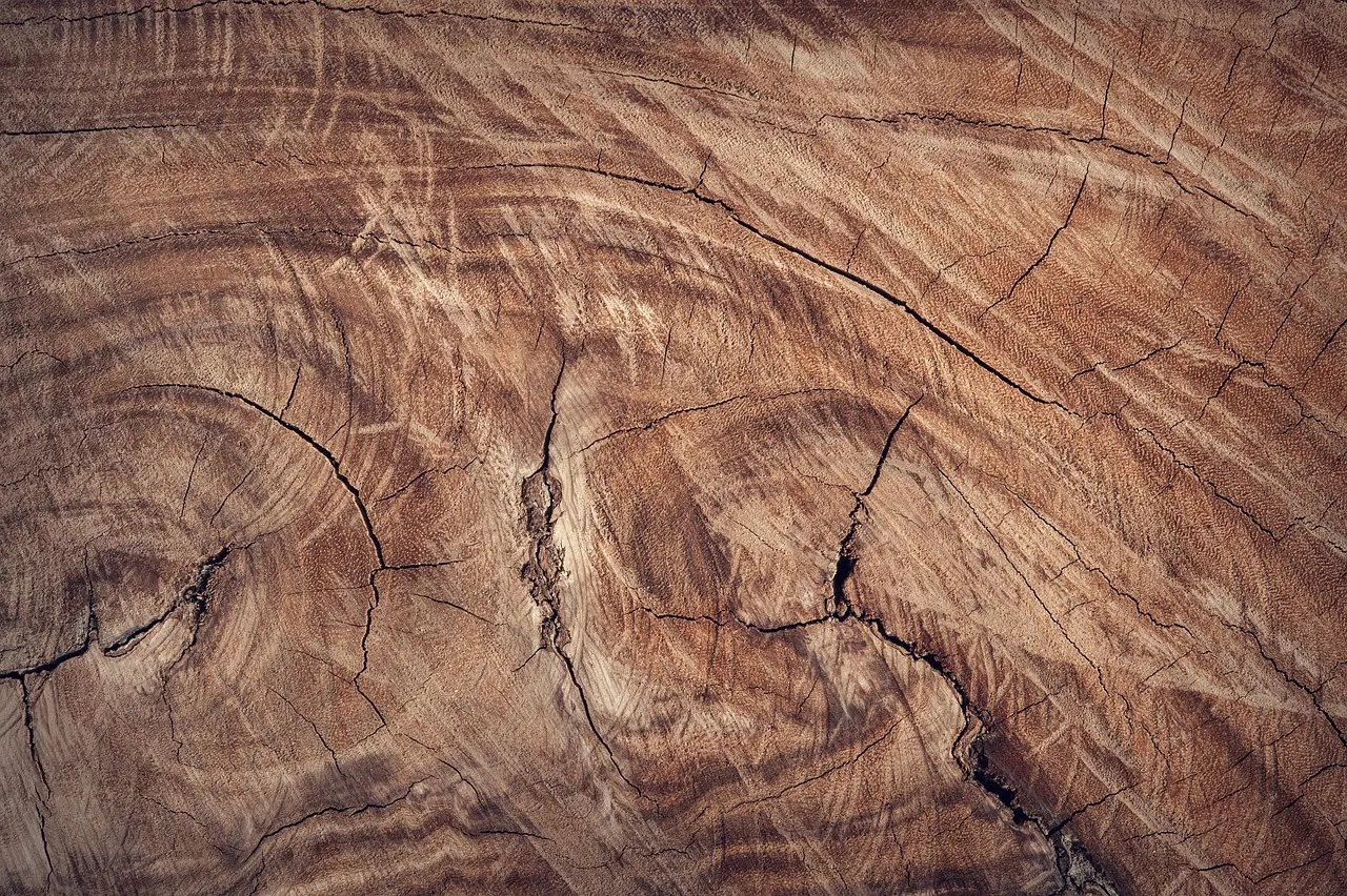 wood, free wallpaper, hd wallpaper, wallpaper 4k, free background, mac wallpaper, windows wallpaper, brown, wooden, close up, laptop wallpaper, surface, 4k wallpaper, desktop backg