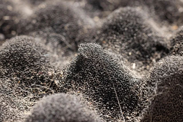 sponge, dirt, gray, soft, old, dirty, insulation, foam, abstract, texture, macro, closeup, insulation, insulation, insulation, insulation, insulation, foam. Denver's high-altitude, dry climate and what it does to insulation and flooring