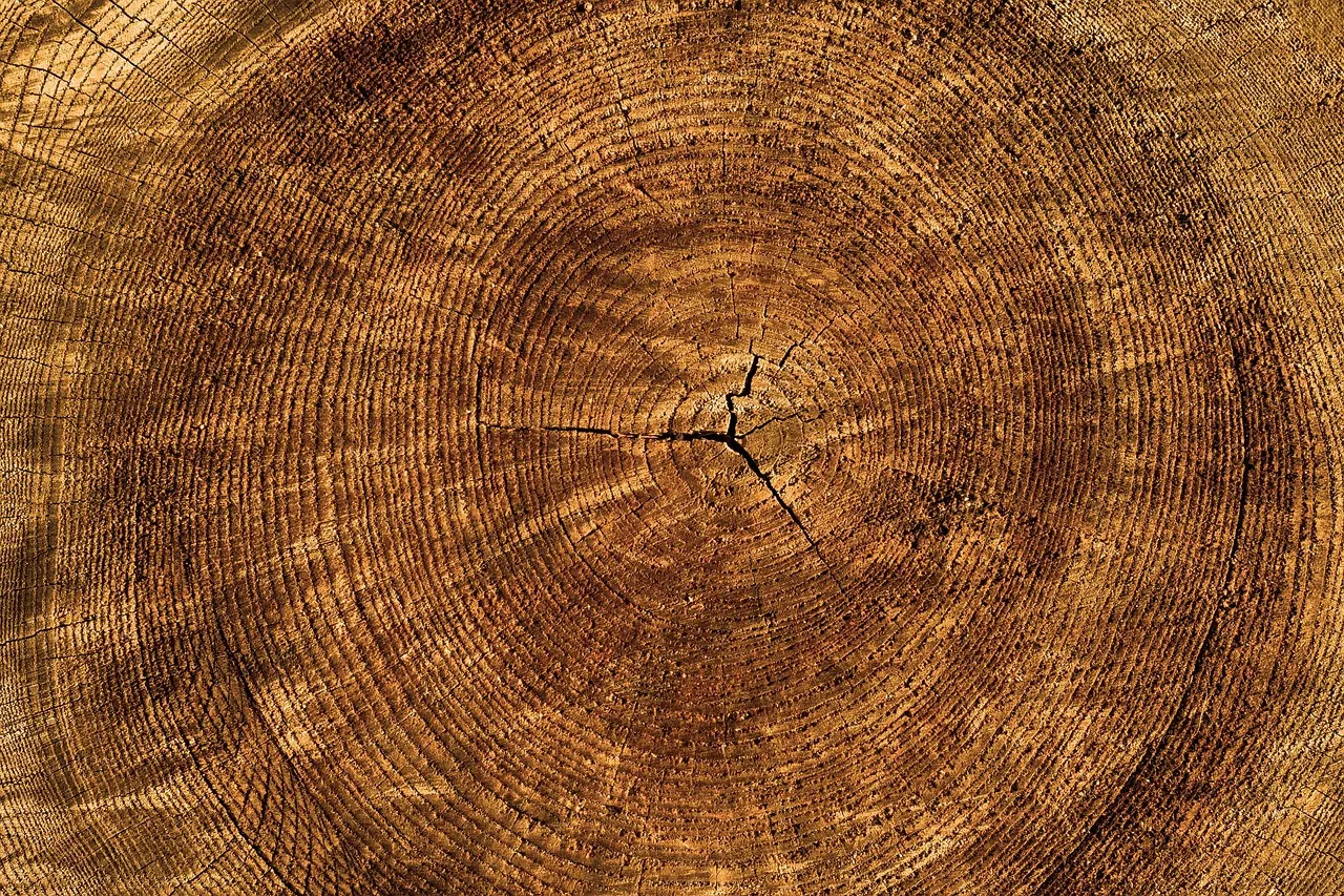 annual rings, free wallpaper, laptop wallpaper, tree, free background, wallpaper hd, desktop backgrounds, texture, beautiful wallpaper, full hd wallpaper, windows wallpaper, nature