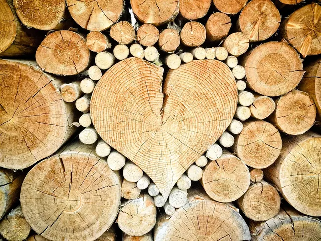 heart, wood, logs, bole, firewood, pieces of timber, woodpile, wooden, timber, forestry, texture, deforestation, material, wood pile, stacked, heart shape, heart, heart, heart, woo