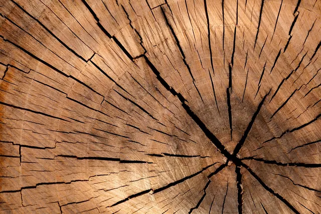 lumber, log, wood, tree, cross section, tree log, texture, material, brown, cut tree, tree details, nature, structure, stump, surface, timber, trunk, wooden, tree rings, growth rin. How to avoid material selection mistakes in 2027