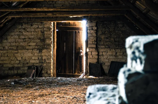 attic, pise, old attic, tile, light, mystery, door, attic, attic, attic, attic, attic. Vet a natural insulation contractor on diagnostics, not just price
