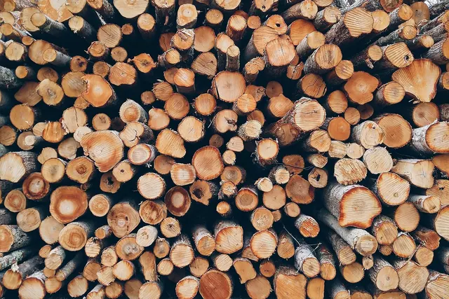 wood, pile, logs, bole, firewood, pieces of timber, woodpile, wooden, timber, forestry, texture, deforestation, material, wooden logs, wood, wood, wood, wood, wood, logs, firewood,