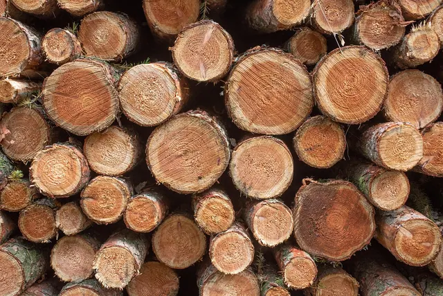 wood, logs, bole, firewood, pieces of timber, woodpile, wooden, timber, forestry, texture, deforestation, material, timber, deforestation, deforestation, deforestation, deforestati. Material selection mistakes: care and upkeep