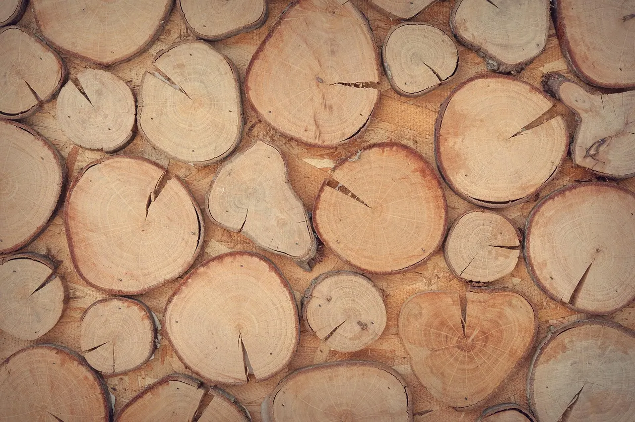 wood, logs, wooden, wall, decoration, design, surface, texture, brown texture, brown wood, brown wall, brown design, wood, wood, wood, wood, wood