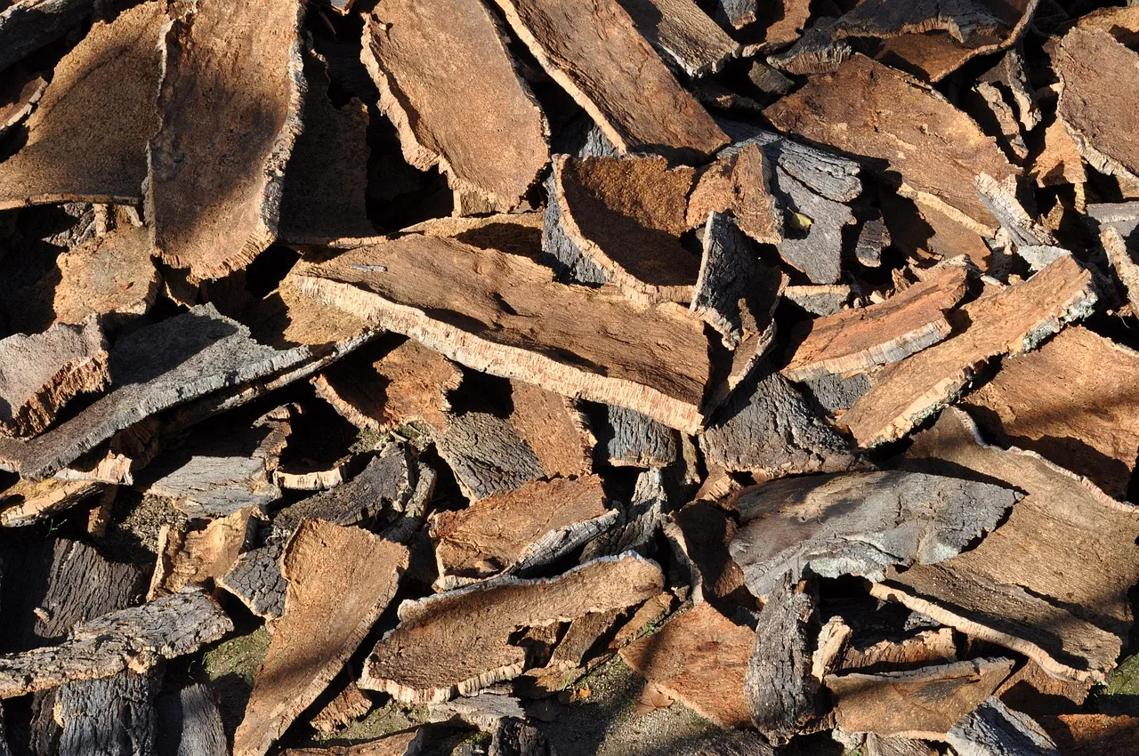 cork oak, cork, tree bark, natural product, cork board, layer, bark, peeled off, cork oak, cork oak, cork, cork, cork, cork, cork. Small-room natural insulation: where to spend the inches