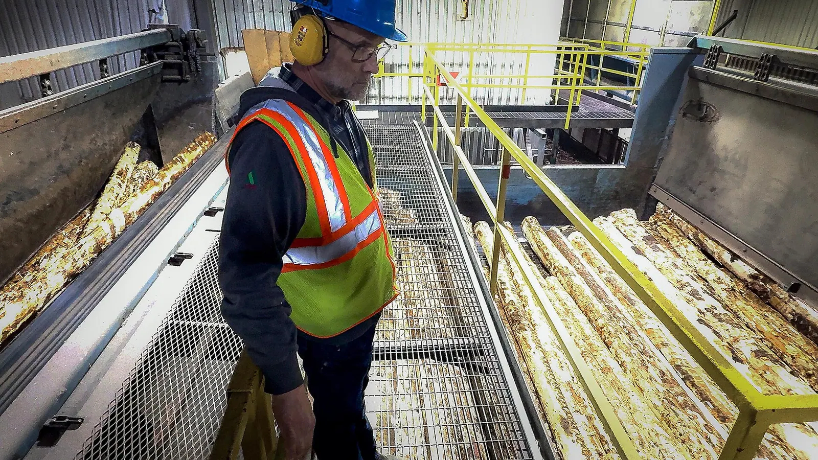 Sustainably harvesting timber to make wood products is good for local economies and is good for forest health. The Forest Service is fostering new markets for wood products through. Sustainable material brands under review: the good, the weak and the verdict
