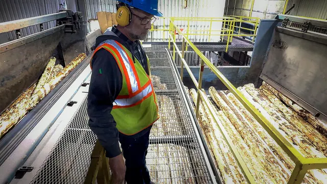 Sustainably harvesting timber to make wood products is good for local economies and is good for forest health. The Forest Service is fostering new markets for wood products through. Sustainable material brands under review: the good, the weak and the verdict