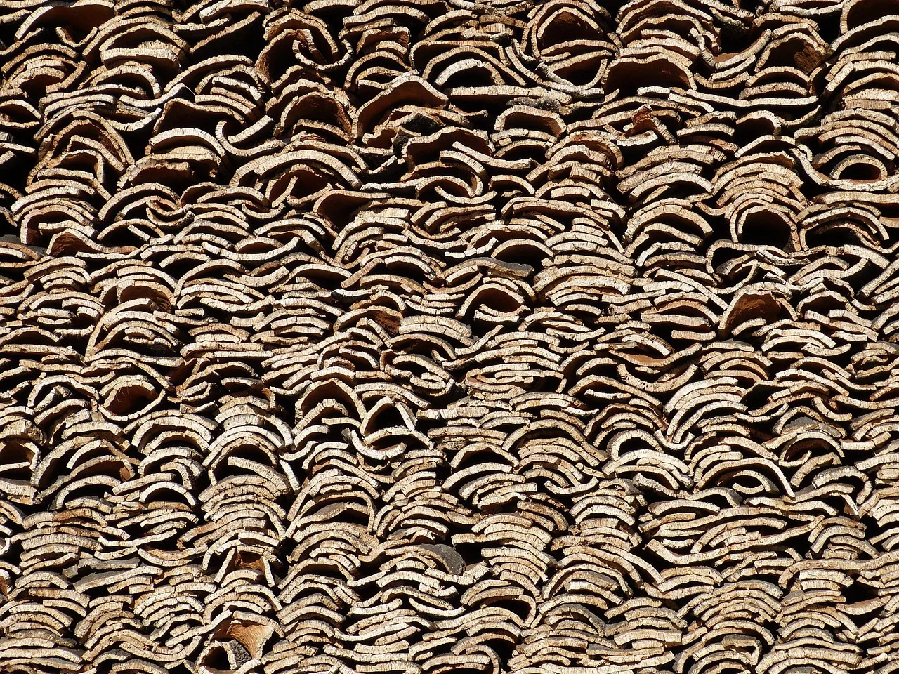 cork, wine, bottle, cork board, bulletin board, natural product, bottle closure, tree, bark, nature, oak, cork oak, cork, cork, cork, cork, cork, cork oak, cork oak, cork oak, cork oak. Sustainable materials products worth testing, reviewed against real use