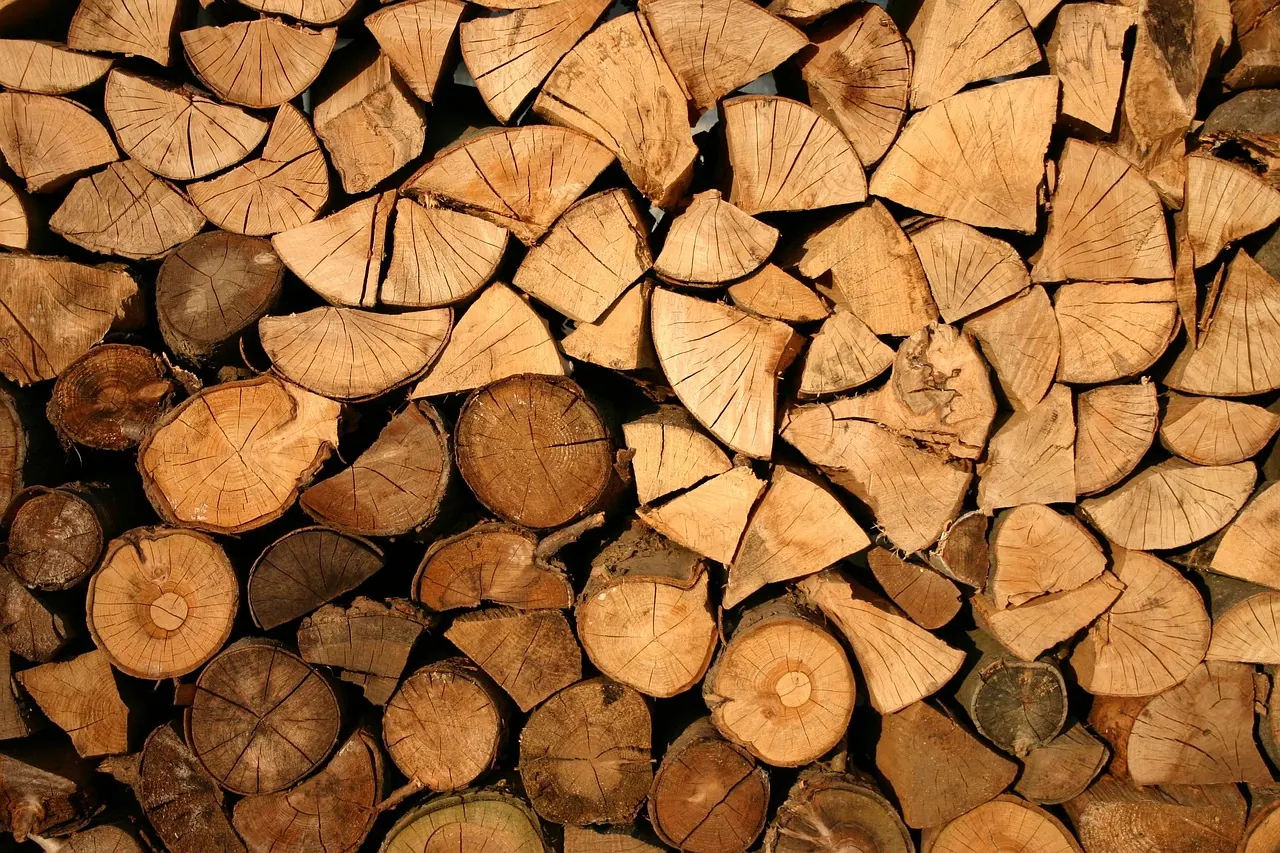 wood, logs, bole, pieces of timber, woodpile, wooden, timber, forestry, texture, deforestation, material, wooden logs, lumber, trunks, stack, wood, wood, wood, wood, wood, logs, ti