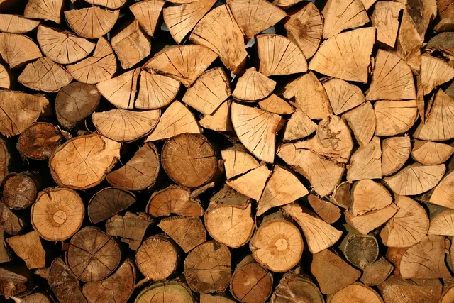 wood, logs, bole, pieces of timber, woodpile, wooden, timber, forestry, texture, deforestation, material, wooden logs, lumber, trunks, stack, wood, wood, wood, wood, wood, logs, ti