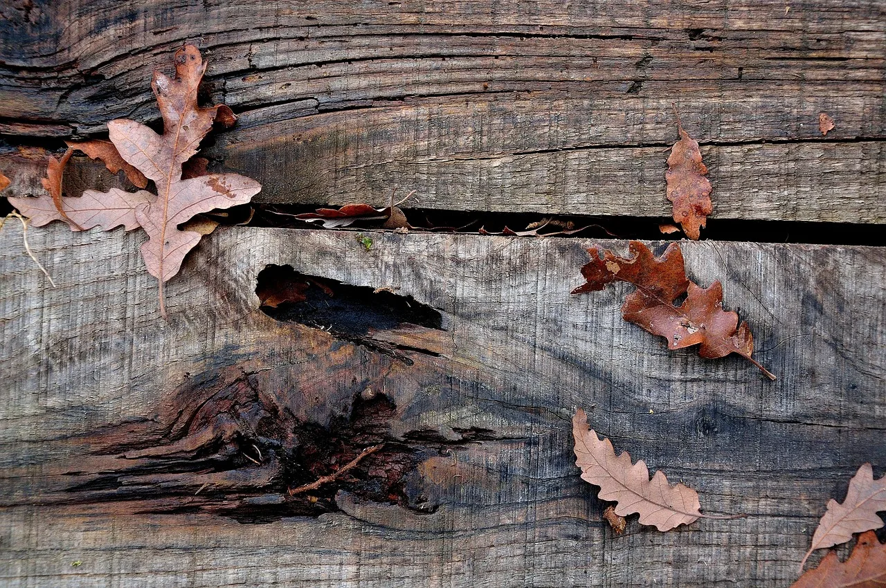 wood, wooden floor, leaves, nature, flooring. Questions to ask an eco friendly flooring contractor