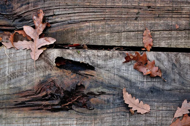 wood, wooden floor, leaves, nature, flooring. Questions to ask an eco friendly flooring contractor
