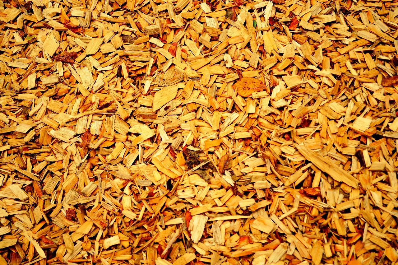wood chips, chips, wood, wood scraps, ground, flooring, recycling, wood chips, wood chips, wood chips, wood chips, wood chips, wood scraps. Recycled interior surface upgrades worth paying for, and which to skip